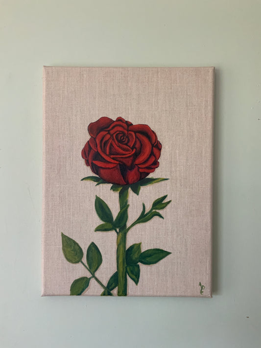 "Rose rouge"Peinture floral d'une rose rouge, peinture à l'huile sur châssis 30*40 cm