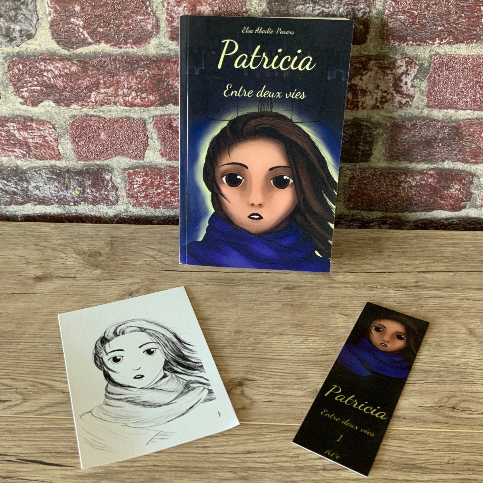 Roman d'imaginaire d'heroïc fantasy de elsa abadie penars pour les adolescents et les adultes coffret roman goodies marque page et dessin art impression a6 de patricia